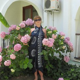 �������, ������, 56 ���