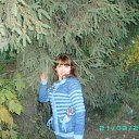  ,  -  2  2010     )