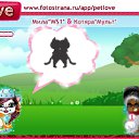 ���� ��nja, ������, 45 ��� - ��������� 18 ������� 2010 � ������ �PetLove�