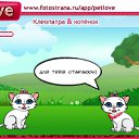  , , 40  -  26  2010   PetLove