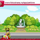 ���� V.i.p, ������, 40 ��� - ��������� 15 ������� 2010 � ������ �PetLove�