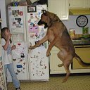 ���� �������, ���������, 35 ��� - ��������� 18 ������� 2009 � ������ �������� =)�