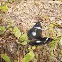 ���� ������, �����������, 60 ��� - ��������� 25 ������ 2012 � ������ ���� ����������