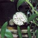 ���� ����. ��������� �� ��!, ������, 72 ���� - ��������� 13 ������ 2011 � ������ ��������