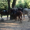 ���� ������, ������ - ��������� 5 ������� 2011 � ������ ������ 2011�