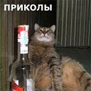  Serzh Van Der Maaremaan,  -  1  2009   