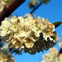  ok, --, 44  -  27  2010   