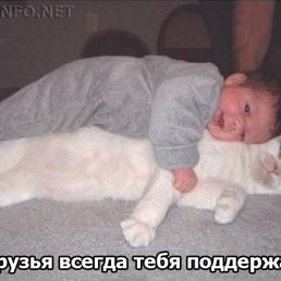 ���� �������, ����������� - ��������� 28 ������ 2010