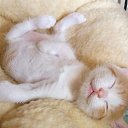 ���� ������, ������, 46 ��� - ��������� 5 ������ 2010 � ������ ������))�