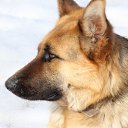 ���� ����, ���������, 54 ���� - ��������� 16 ���� 2013 � ������ �������