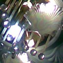 ���� �������, ���������, 63 ���� - ��������� 10 ��� 2010