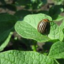 ���� �������, ��������, 37 ��� - ��������� 2 ������ 2009 � ������ ������ � �����