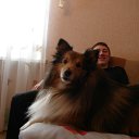 ���� ����, ������, 58 ��� - ��������� 17 ������� 2012 � ������ ���� ����������