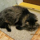 ����� ������������ ����� ���������� � ����� �� ����� ���� � ������ ����� ����������� ���� �����, ���� ������ ����� �� ����������=) �� � �� ����� � ����� ����� �� ������� ������