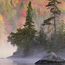 ���� �������, ��������, 57 ��� - ��������� 1 ��� 2010 � ������ ������� ��������