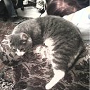 ���� Alex, ����������� - ��������� 7 ������� 2011