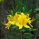 ���� ����. ��������� �� ��!, ������, 72 ���� - ��������� 30 ������ 2011 � ������ ����� � �����