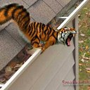 ���� ������, ������� - ��������� 8 ������ 2011 � ������ ������ ��� �����...�