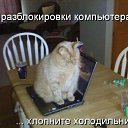 ���� Neznakomka, ������ - ��������� 12 ���� 2012