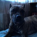 ���� �������, ����������, 38 ��� - ��������� 21 ������ 2011 � ������ ���� ����������