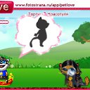 ���� ������, ������, 25 ��� - ��������� 10 �������� 2010 � ������ �PetLove�