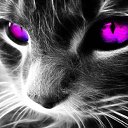 ���� ����, ������, 32 ���� - ��������� 13 ������ 2013 � ������ ���� ����������