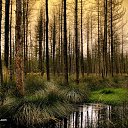 ���� Serega, �������, 43 ���� - ��������� 21 ������� 2011