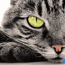 ���� �������, ������, 43 ���� - ��������� 20 ����� 2012 � ������ ���� ����������