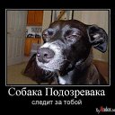 ���� Layke, ������-��-����, 43 ���� - ��������� 10 ���� 2012 � ������ ���� ����������
