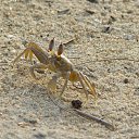  , , 60  -  15  2009    3