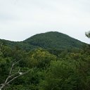 ��� � ������� �� ������� �������� �� ����