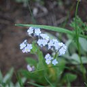  Sergey, , 65  -  11  2010   