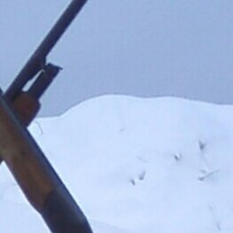 ������, ������, 44 ����