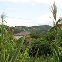 ���� ���������, ������, 69 ��� - ��������� 23 ������� 2011 � ������ ���