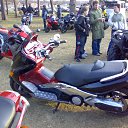  , , 57  -  25  2010    2010 