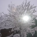 ���� �������, ���������, 59 ��� - ��������� 24 ������ 2012 � ������ �������