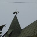 ���� ��������, �����-���������, 57 ��� - ��������� 15 ��� 2012 � ������ ���� ����������