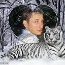 ���� �����, ������, 43 ���� - ��������� 8 ���� 2013 � ������ ���� ����������