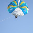 ���� �������, ������, 44 ���� - ��������� 22 ������ 2009 � ������ ������