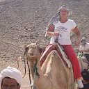 ���� ������, �������, 68 ��� - ��������� 6 ��� 2013 � ������ ���� ����������