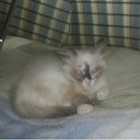 ������ �� ������� �������