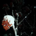 ���� �����, ������������ - ��������� 18 ������� 2012 � ������ ���� ���