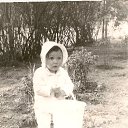  , , 41  -  15  2010    , ......