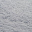 ���� ����, �����-���������, 44 ���� - ��������� 29 ������ 2009 � ������ �������