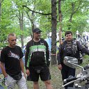  , , 61  -  3  2011     , 