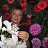 ����� ����� ����