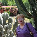 ���� �������, �������, 66 ��� - ��������� 10 ���� 2013 � ������ ������� ߻