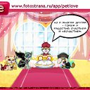   (), , 38  -  7  2010   PetLove