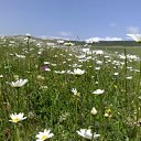 ���� Davit, �������, 63 ���� - ��������� 10 ������ 2011