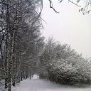 ���� ������, �������, 62 ���� - ��������� 14 ������� 2011 � ������ ���� ����������